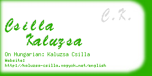 csilla kaluzsa business card